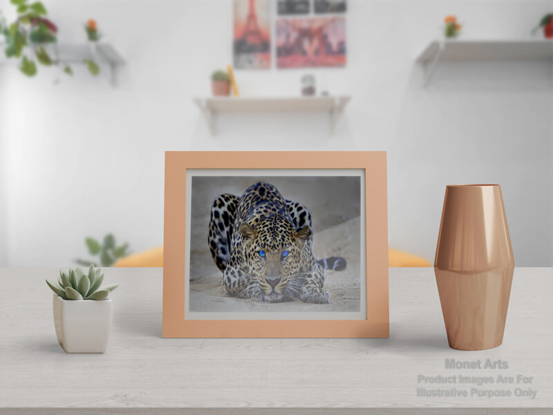 Painting-By-Numbers-Kits-For-Adults-Animals-Table-Mockups-Leopard