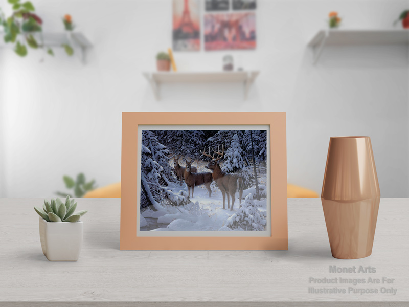 Painting-By-Numbers-Kits-For-Adults-Reindeer