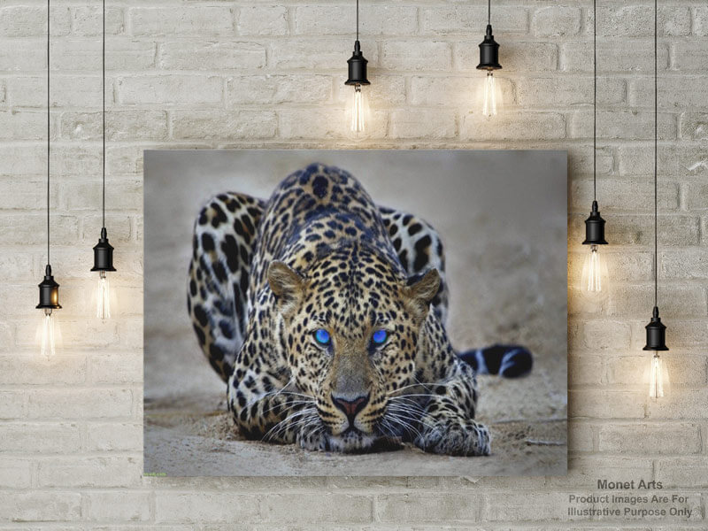 Painting-By-Numbers-Kits-For-Adults-Animals-Wall-Mockups-Leopard
