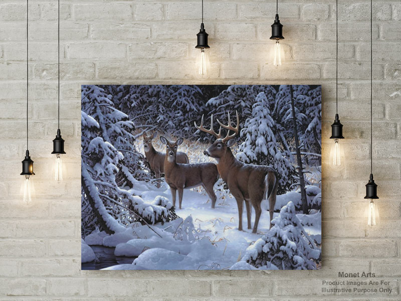 Painting-By-Numbers-Kits-For-Adults-Reindeer