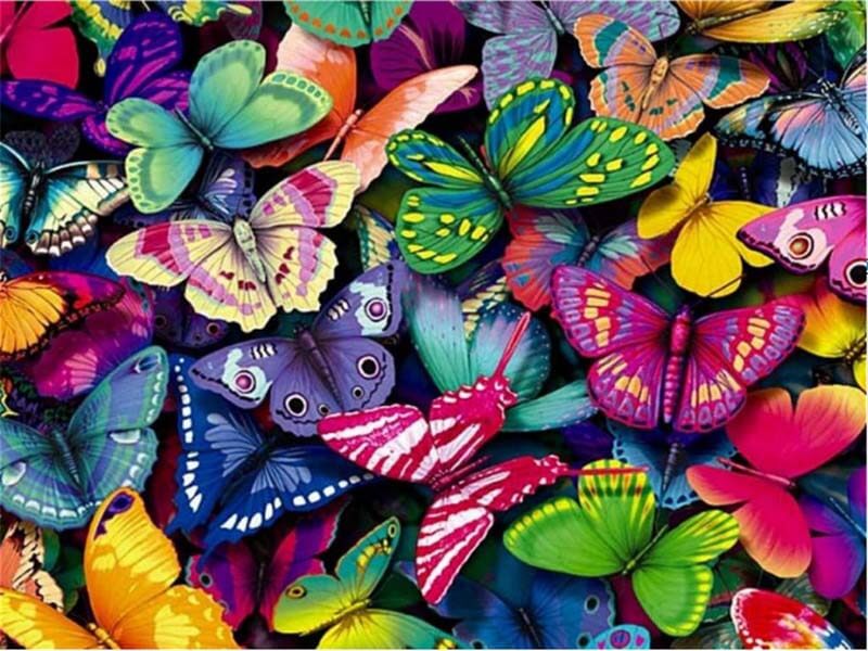 Painting By Numbers Kits For Adults Butterflies