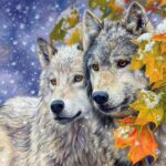 Painting By Numbers Kits For Adults Wolves