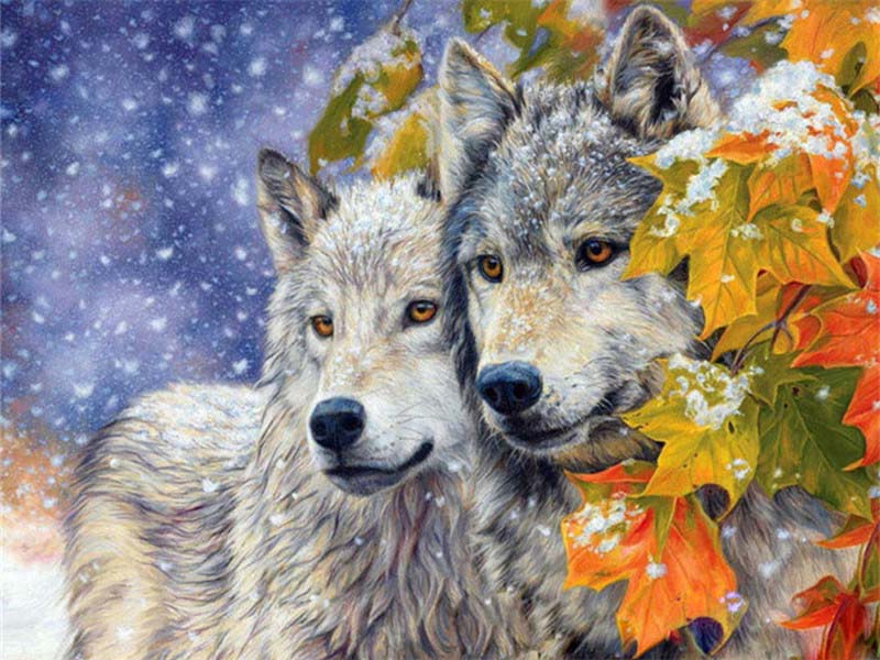 Painting By Numbers Kits For Adults Wolves